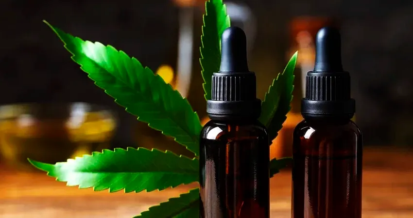 A regulamentação da Cannabis medicinal e a necessidade de novos avanços