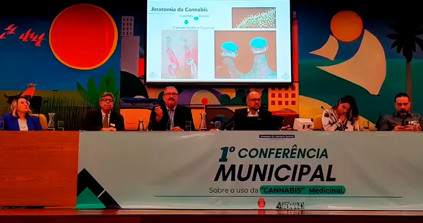 Perspectiva da Cannabis medicinal no serviço público municipal