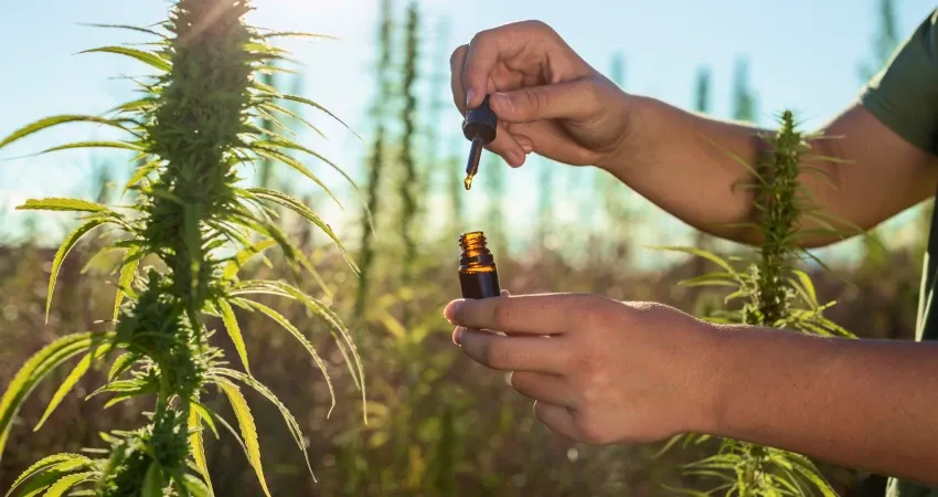 Cannabis Medicinal para Transtornos Psiquiátricos: O Que Diz a Ciência?