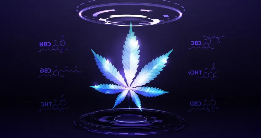 As propriedades anti-inflamatórias da Cannabis