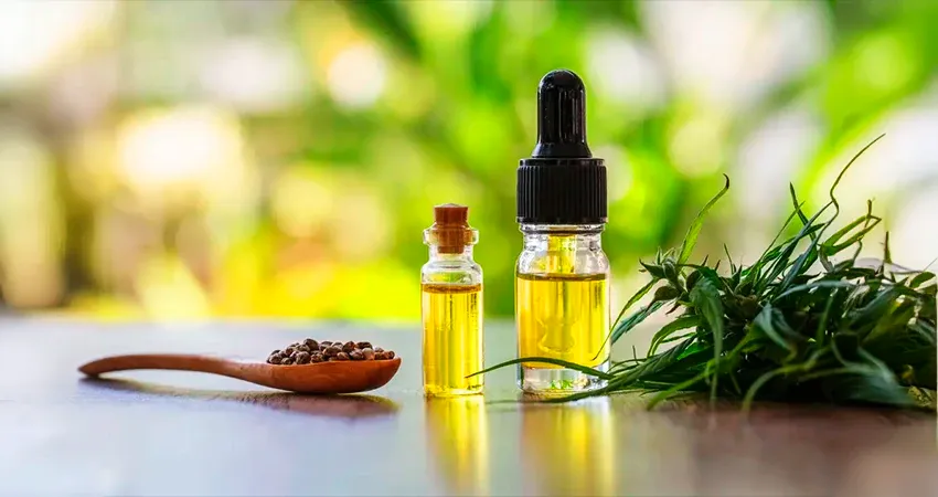 Efeito Entourage: Potencial Terapêutico Ampliado na Cannabis